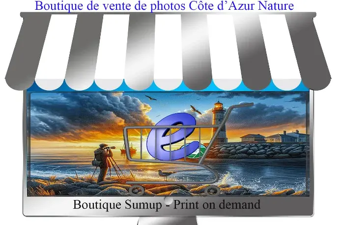 Boutique vente de photos Sumup